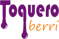 Logo de Toquero Berri
